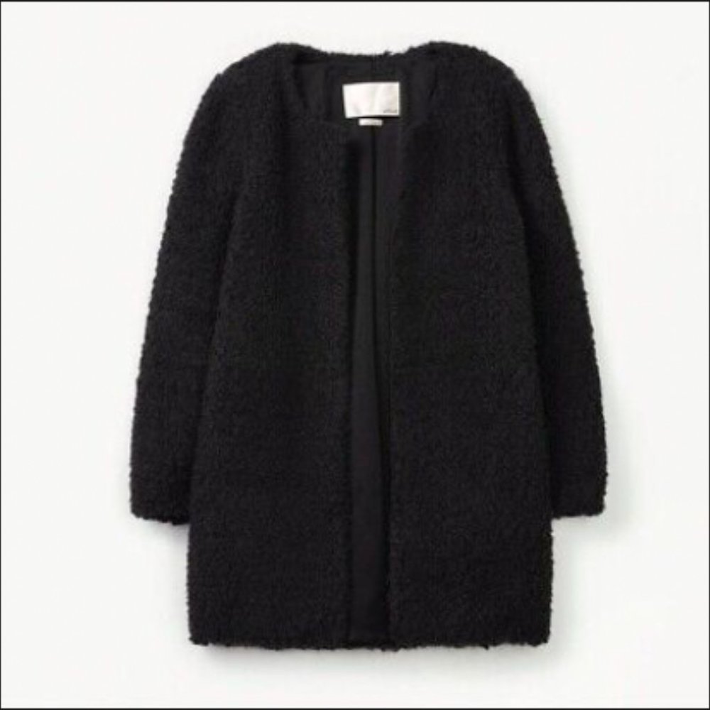 Aritzia Wilfred Laboratoire Teddy Coat